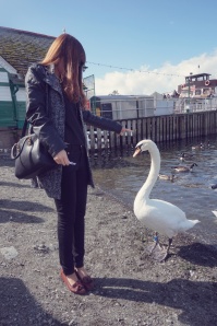 One of our students feeding the very friendly swans